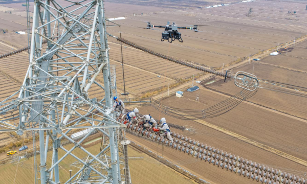 国网天津电力首次应用百公斤级载重无人机完成特高压线路检修